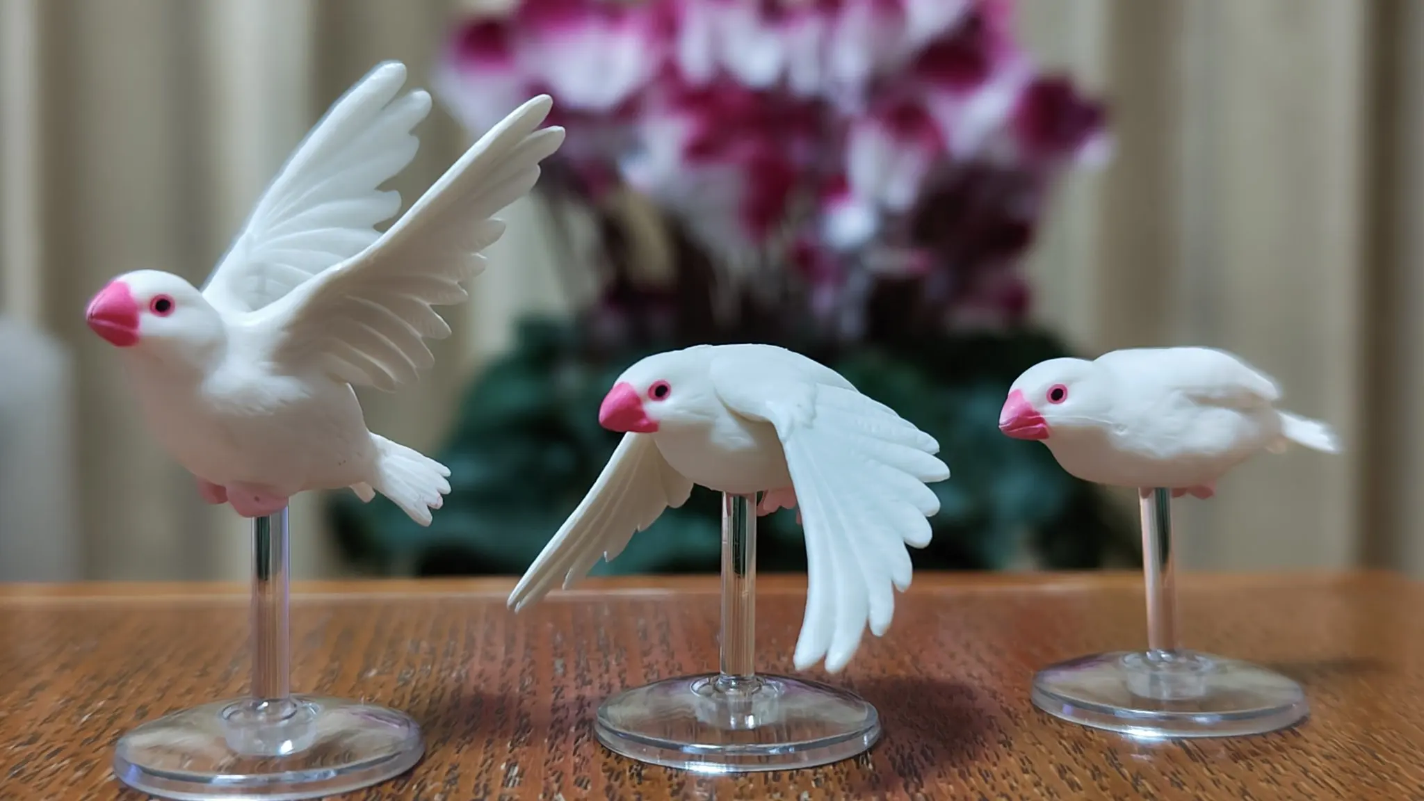 Tarlin Kapsel Spielzeug niedli – Capsule Toy Gashapon Bewertung und Preis