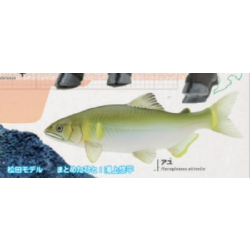 Japan Ikimon Gashapon Kapselsp – Capsule Toy Gashapon Bewertung und Preis