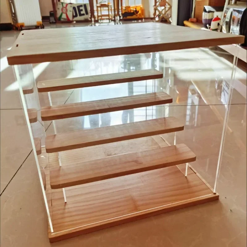 Acryl-Organizer für Cartoon-Fi – Display Case Acrylic Bewertung und Preis