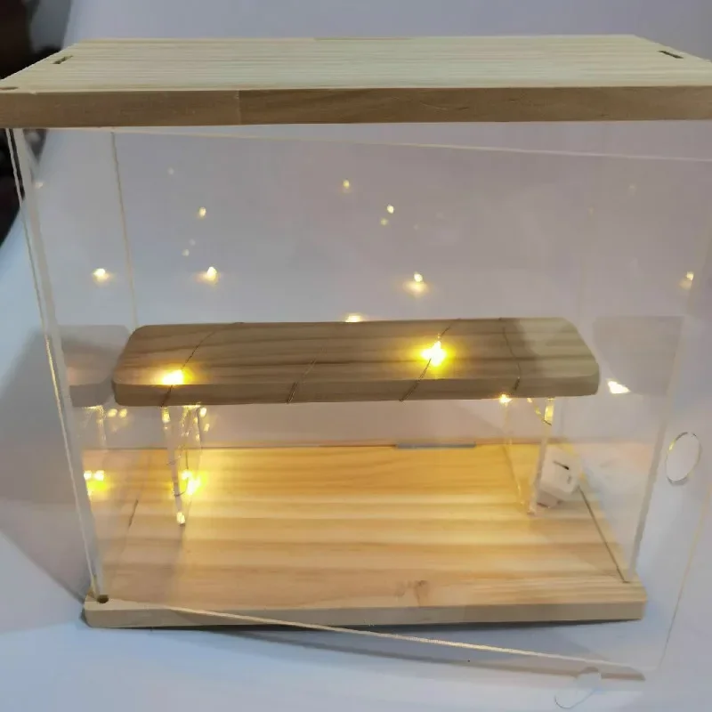 Acryl-Organizer für Cartoon-Fi – Display Case Acrylic Bewertung und Preis